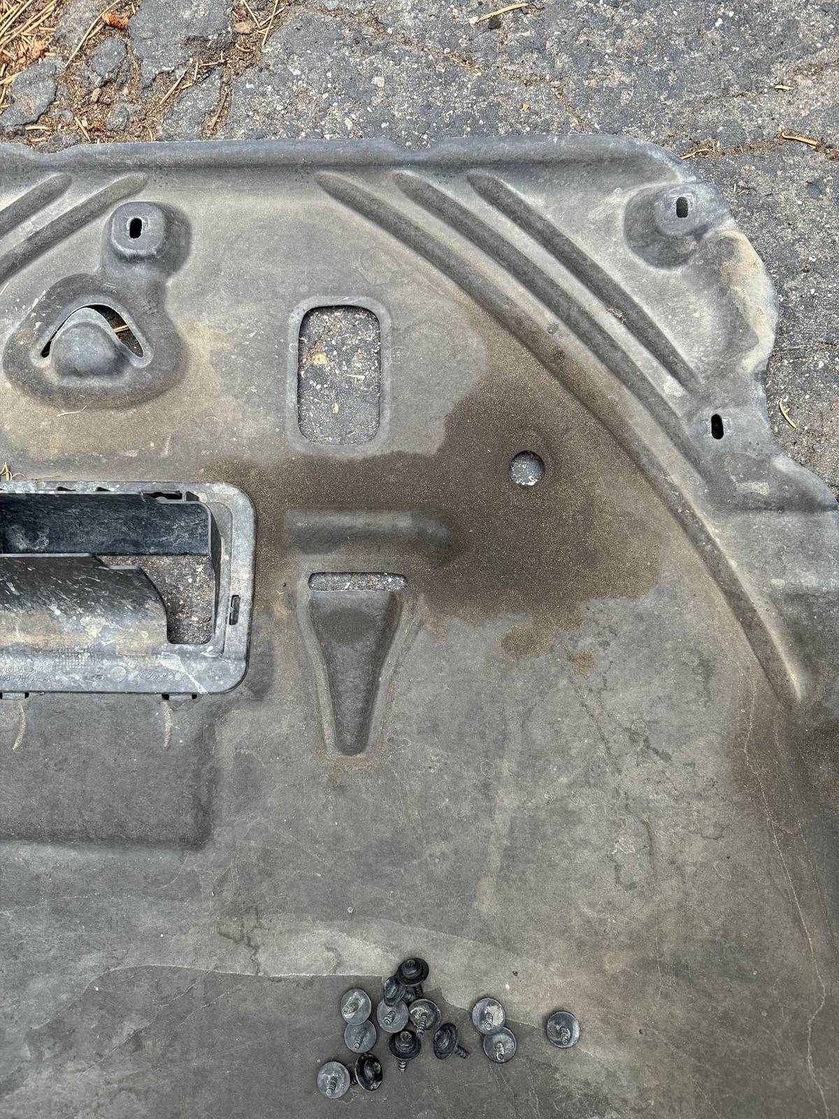 Ford Bronco Sport Mild Off-Road - Now I Smell Oil/Grease IMG_5116