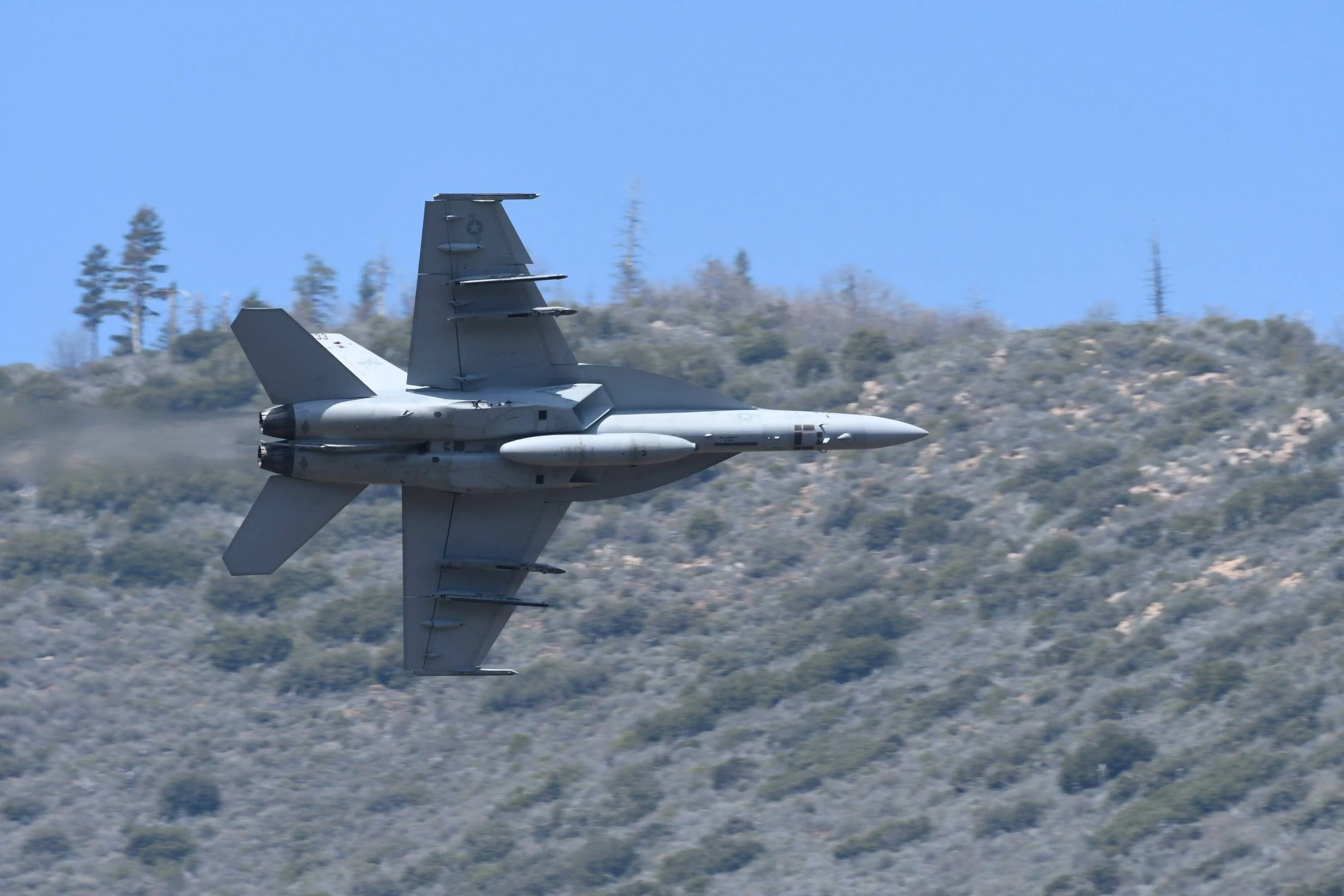 Ford Bronco Sport Birdwatching + Death Valley ghost towns DSC_0446