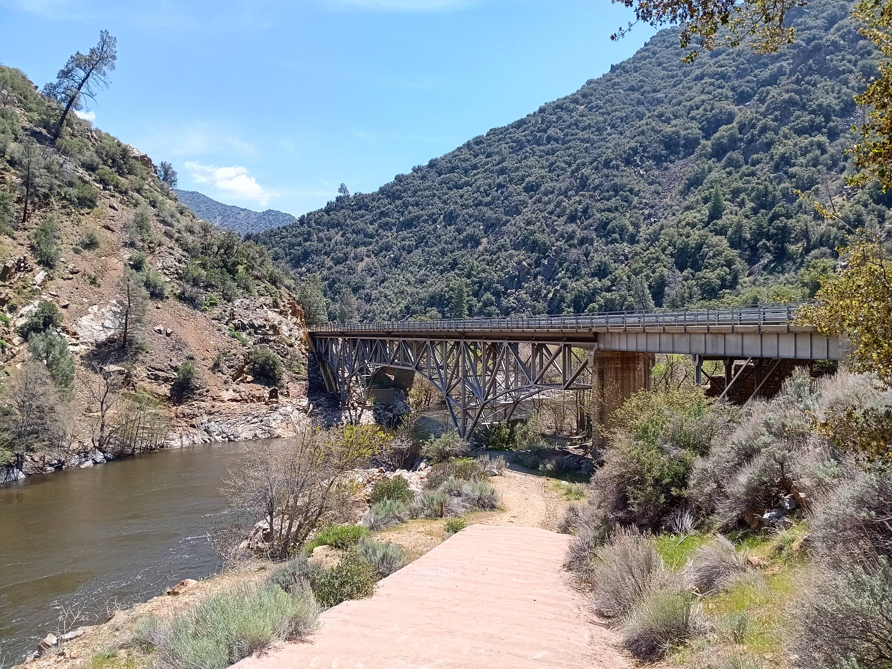 Ford Bronco Sport Birdwatching + Death Valley ghost towns 20240419_132023