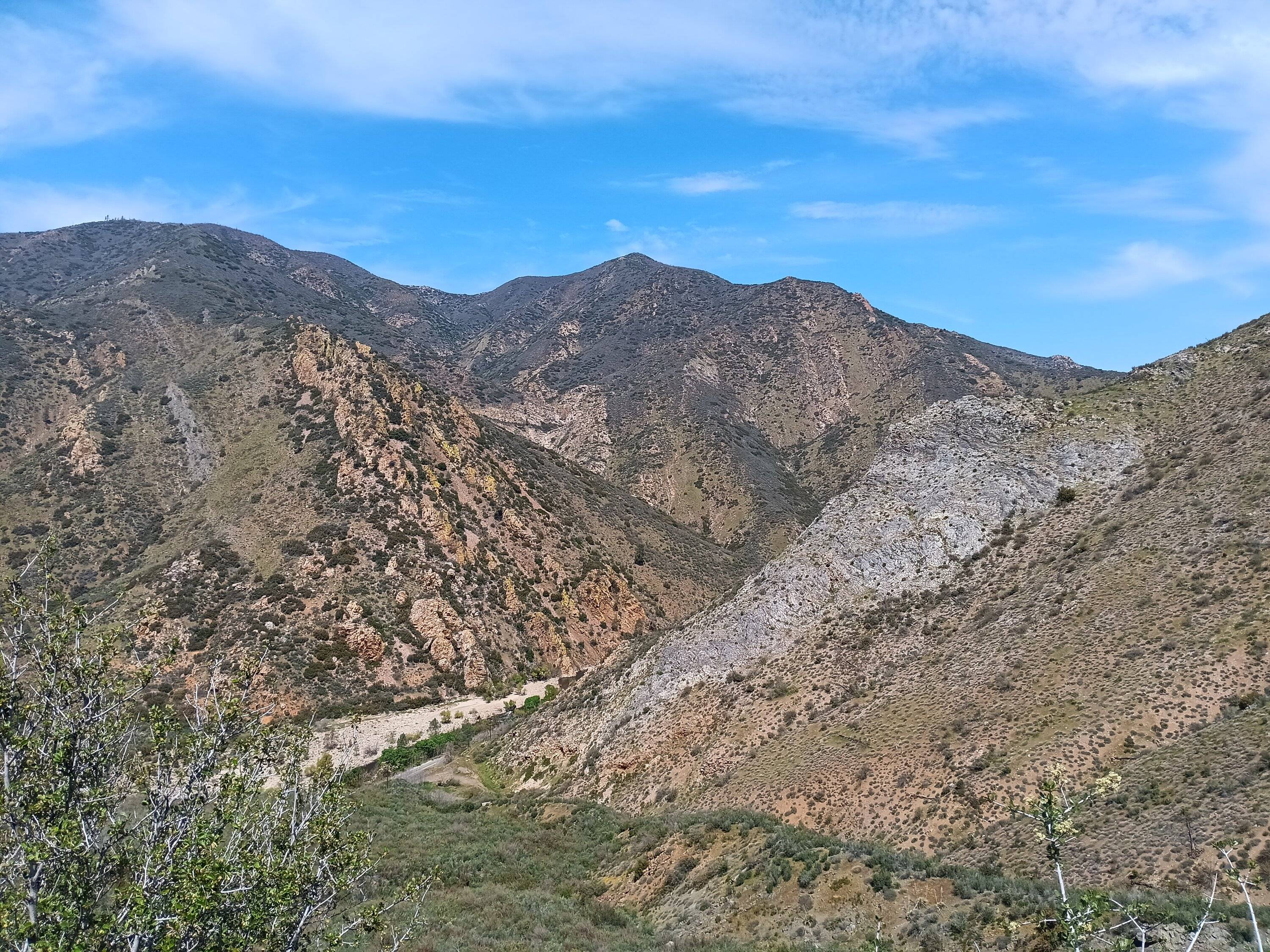 Ford Bronco Sport Birdwatching + Death Valley ghost towns 20240419_113144