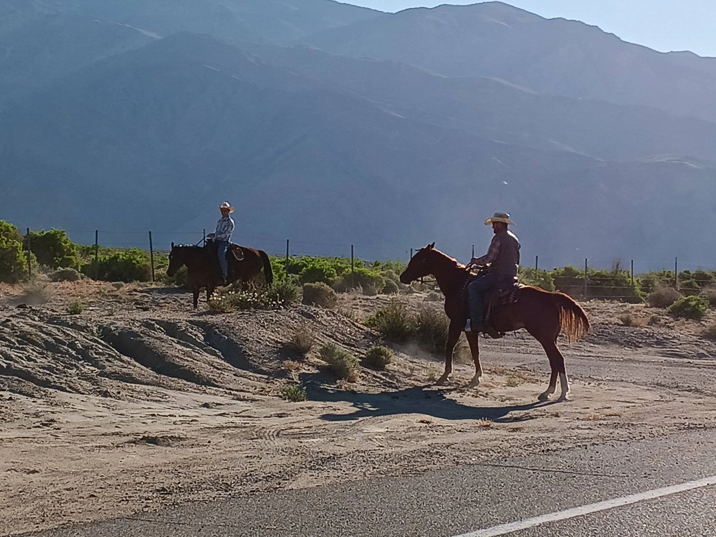 Ford Bronco Sport Birdwatching + Death Valley ghost towns 20240423_075850