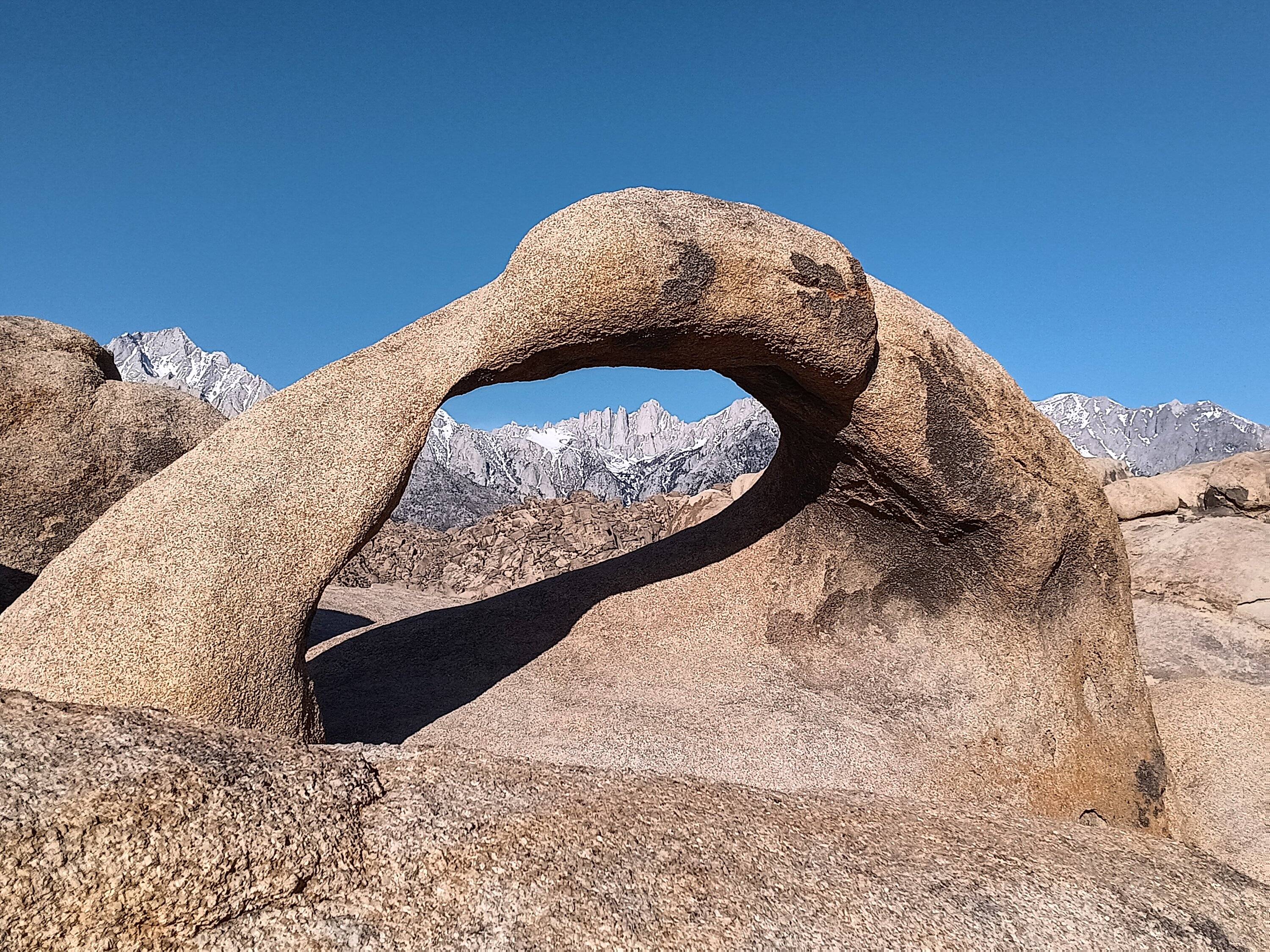 Ford Bronco Sport Birdwatching + Death Valley ghost towns 20240424_075034