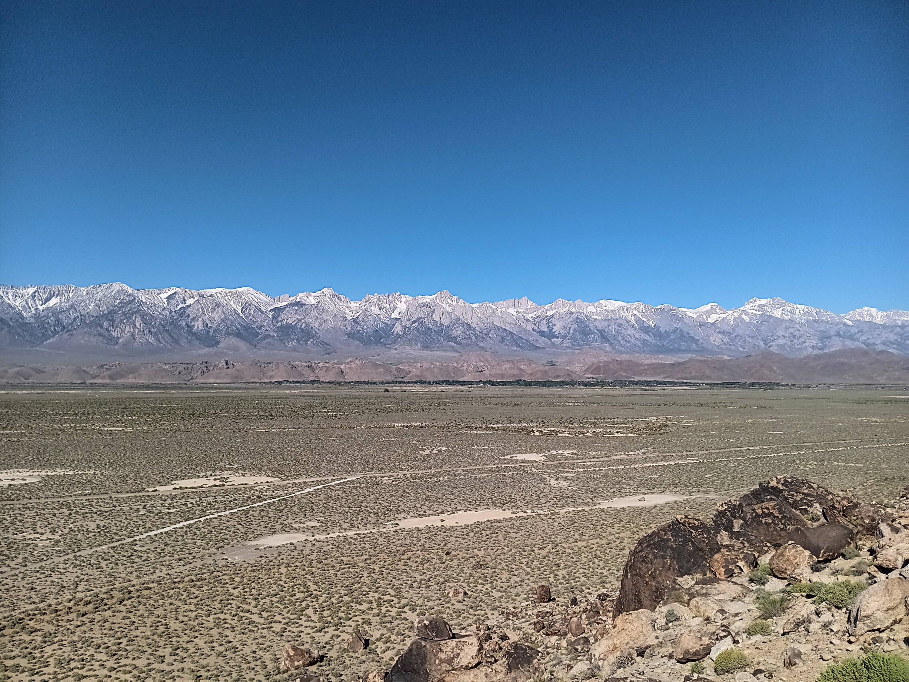 Ford Bronco Sport Birdwatching + Death Valley ghost towns 20240423_090043