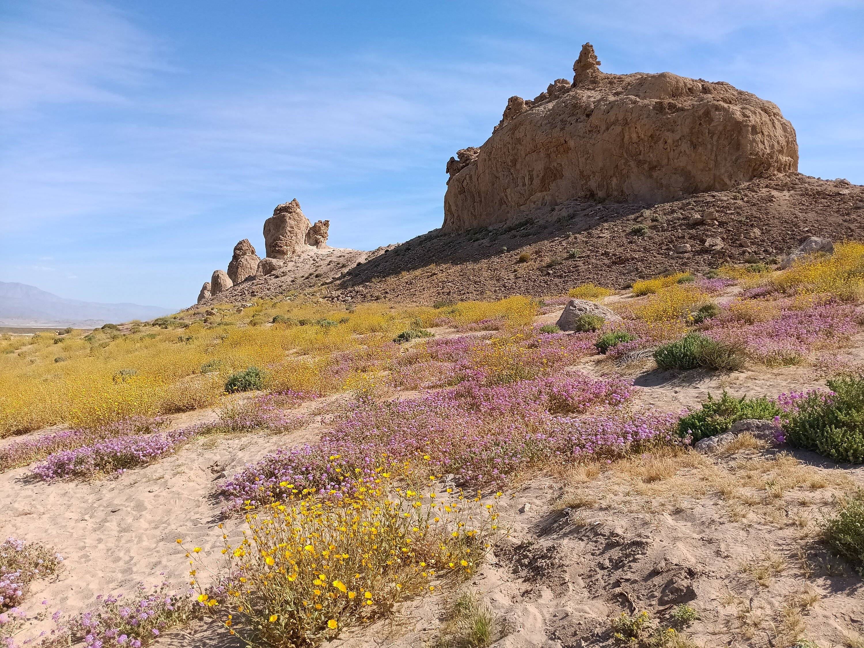 Ford Bronco Sport Birdwatching + Death Valley ghost towns 20240422_095513
