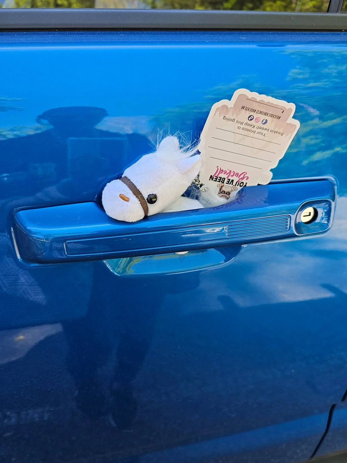 Ford Bronco Sport What did you do TO your Bronco Sport today? 1000006866