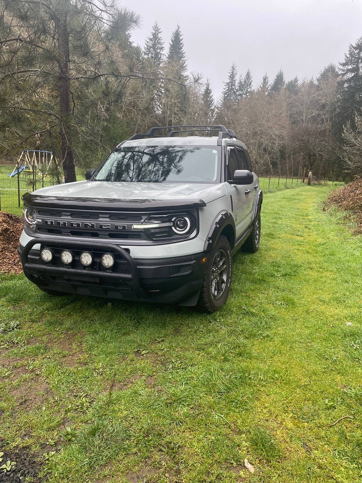 Ford Bronco Sport Free EGR hood protector (local pick up only) IMG_3929
