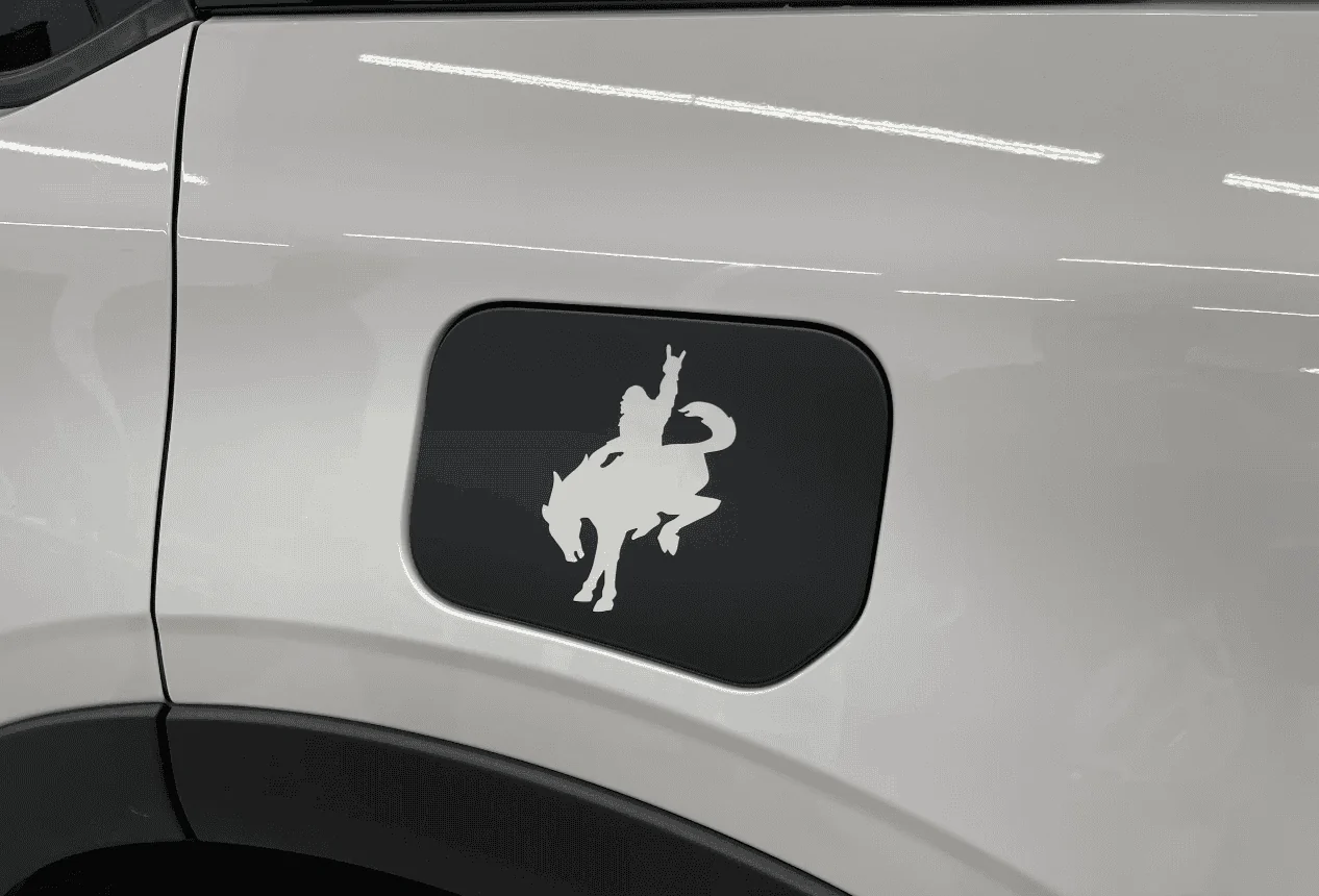 BS gas cap overlay.webp