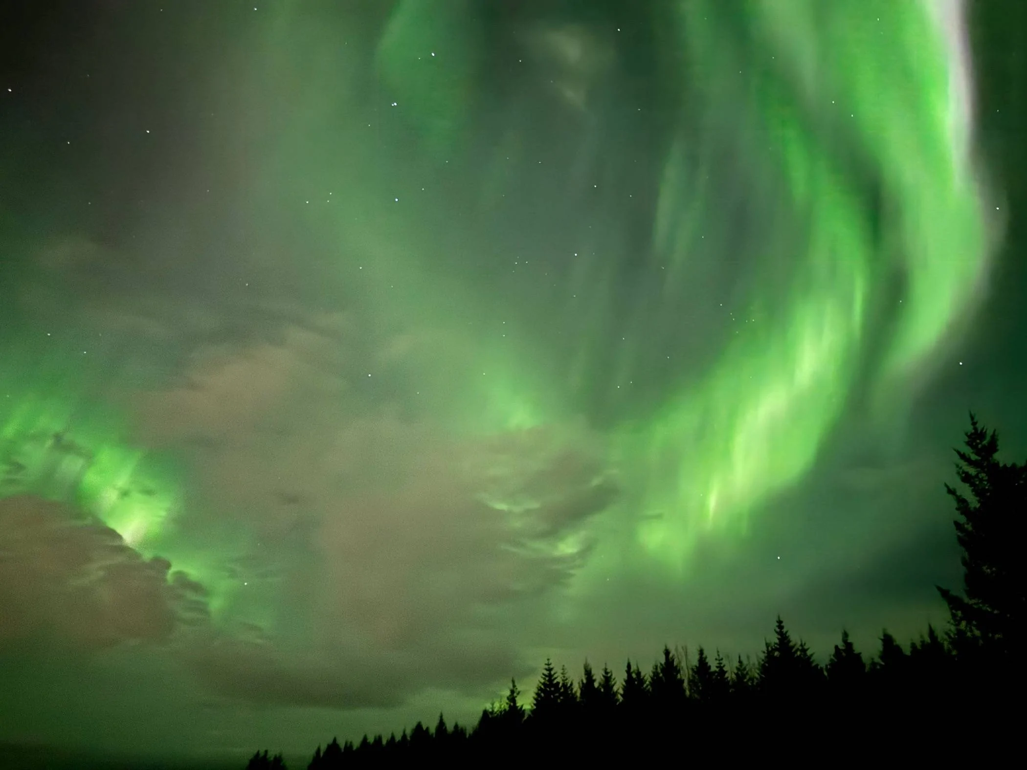 Ford Bronco Sport Northern lights heading South IMG_0228