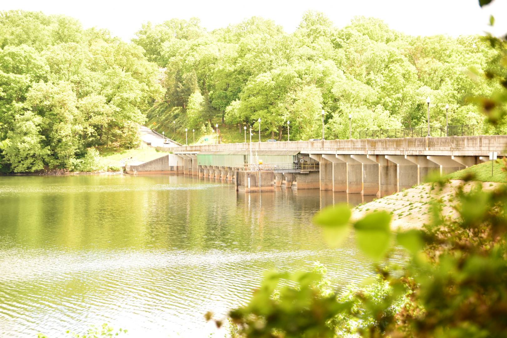 Ford Bronco Sport Brighton Dam Azalea Garden DSC_0123