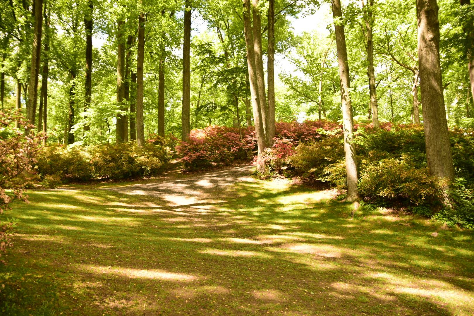 Ford Bronco Sport Brighton Dam Azalea Garden DSC_0128