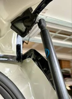 Ford Bronco Sport Bronco Sport Roof vinyl wrap All Photos - 1 of 1 (1)