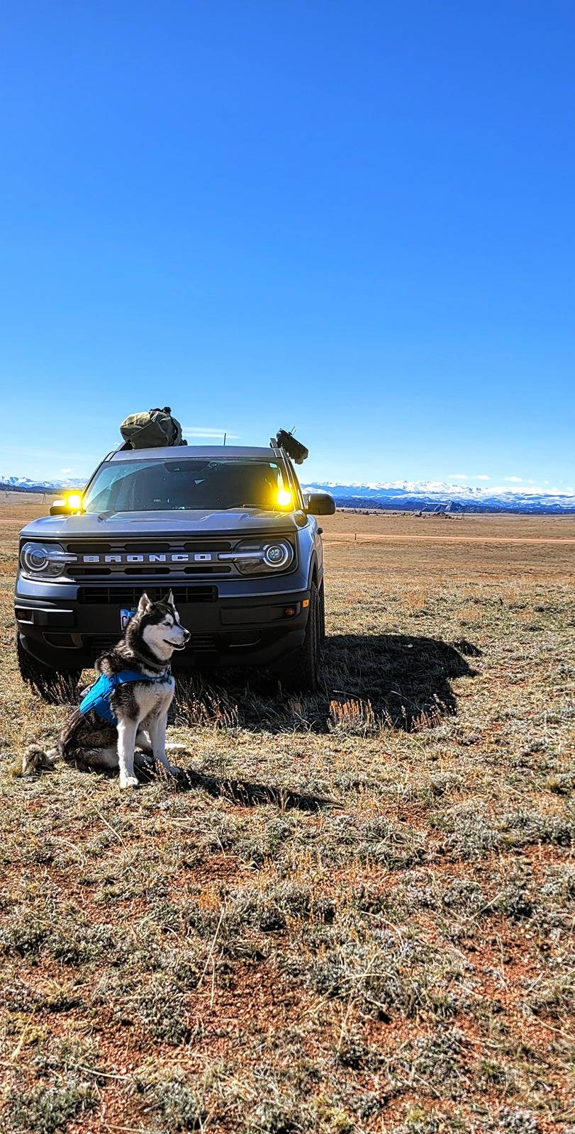 Ford Bronco Sport Post the best photos you've got of your Bronco Sport 20240408_103313~2