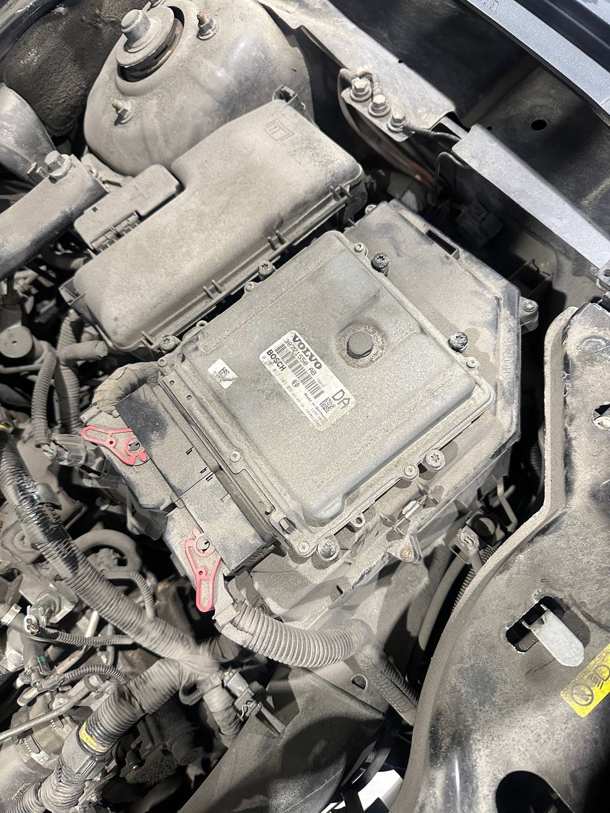 Ford Bronco Sport What did you do TO your Bronco Sport today? IMG_2100