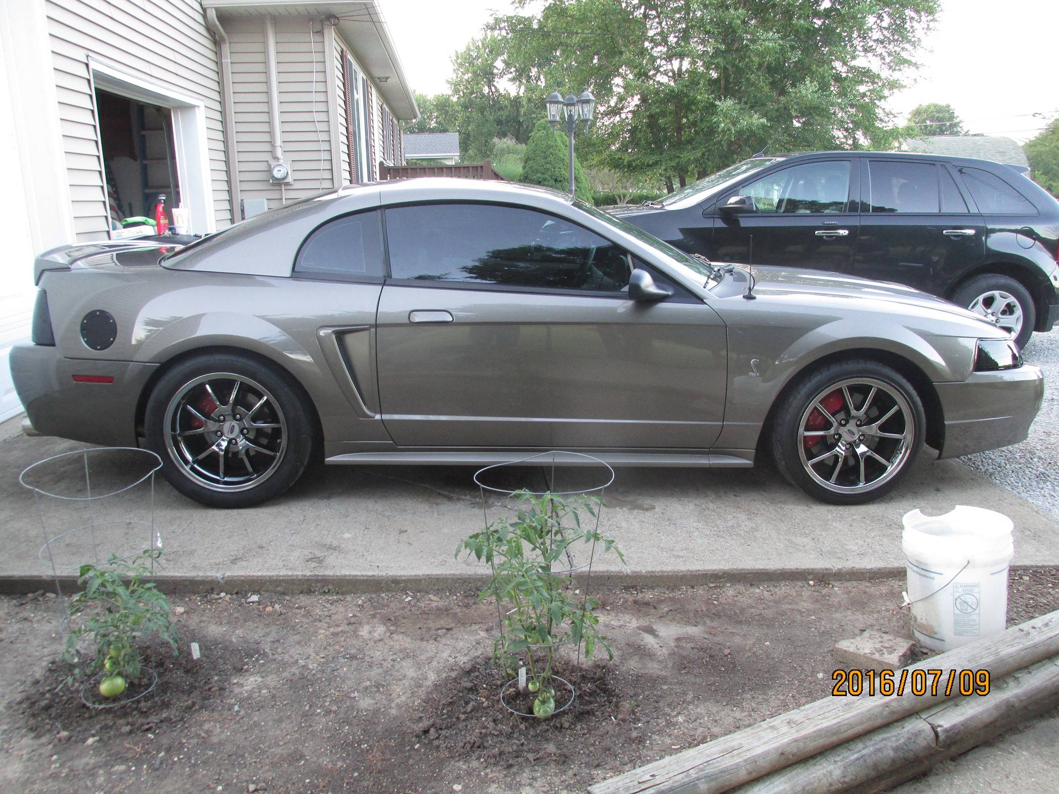 Ford Bronco Sport What did you do TO your Bronco Sport today? IMG_0338.JPG