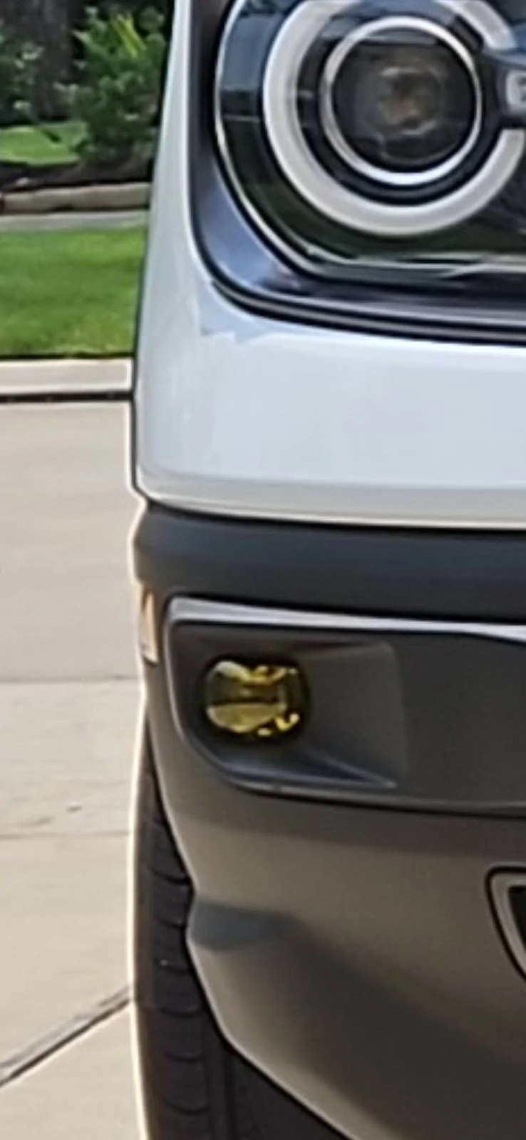 Ford Bronco Sport What did you do TO your Bronco Sport today? Screenshot_20240601_194236_Gallery