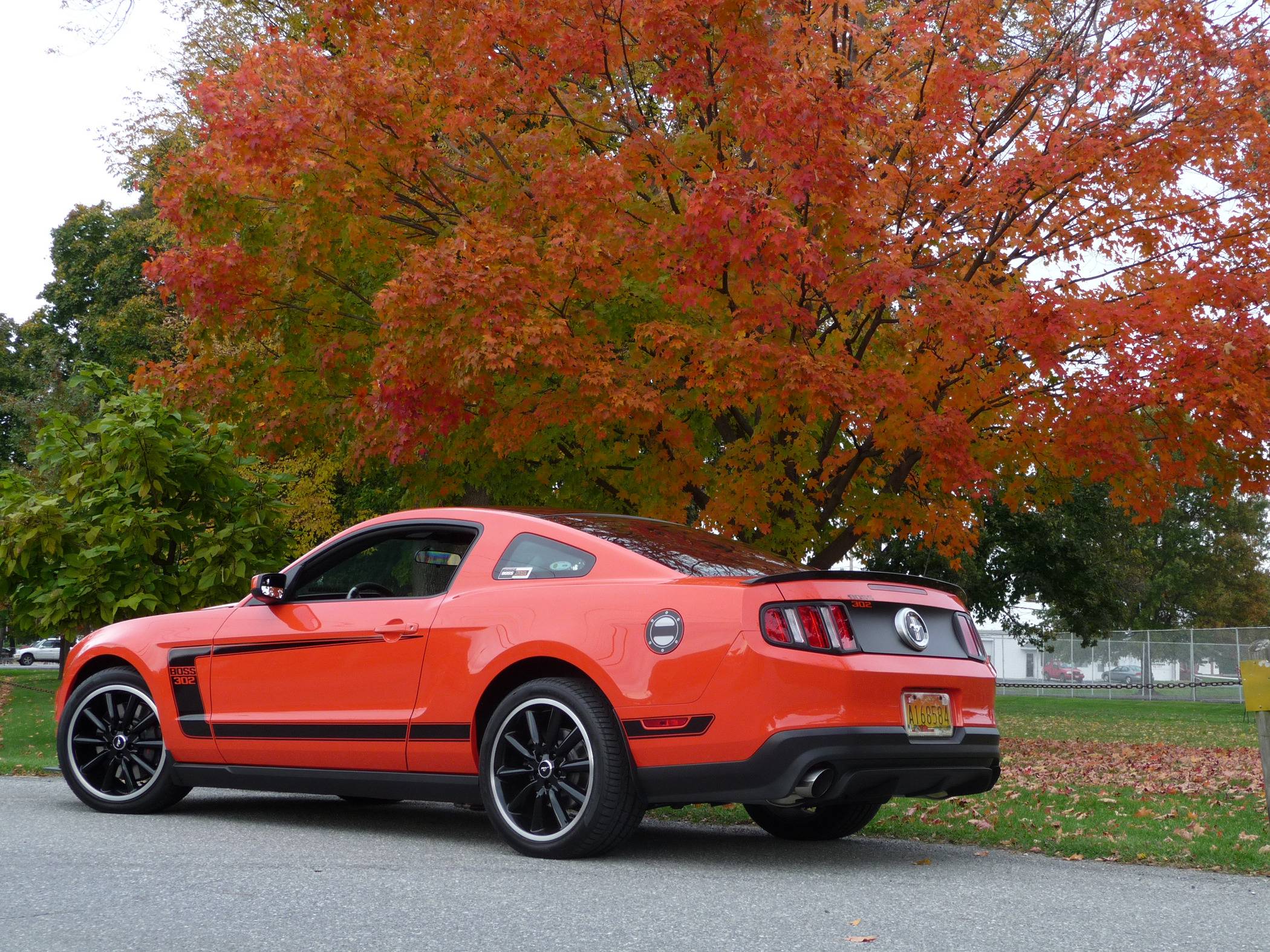 Ford Bronco Sport 2025 Bronco Sport Spied Images P1180903.JPG