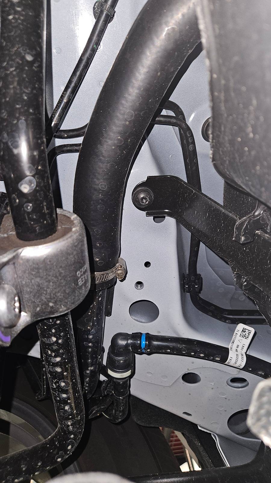 Ford Bronco Sport What did you do TO your Bronco Sport today? 20240611_162527