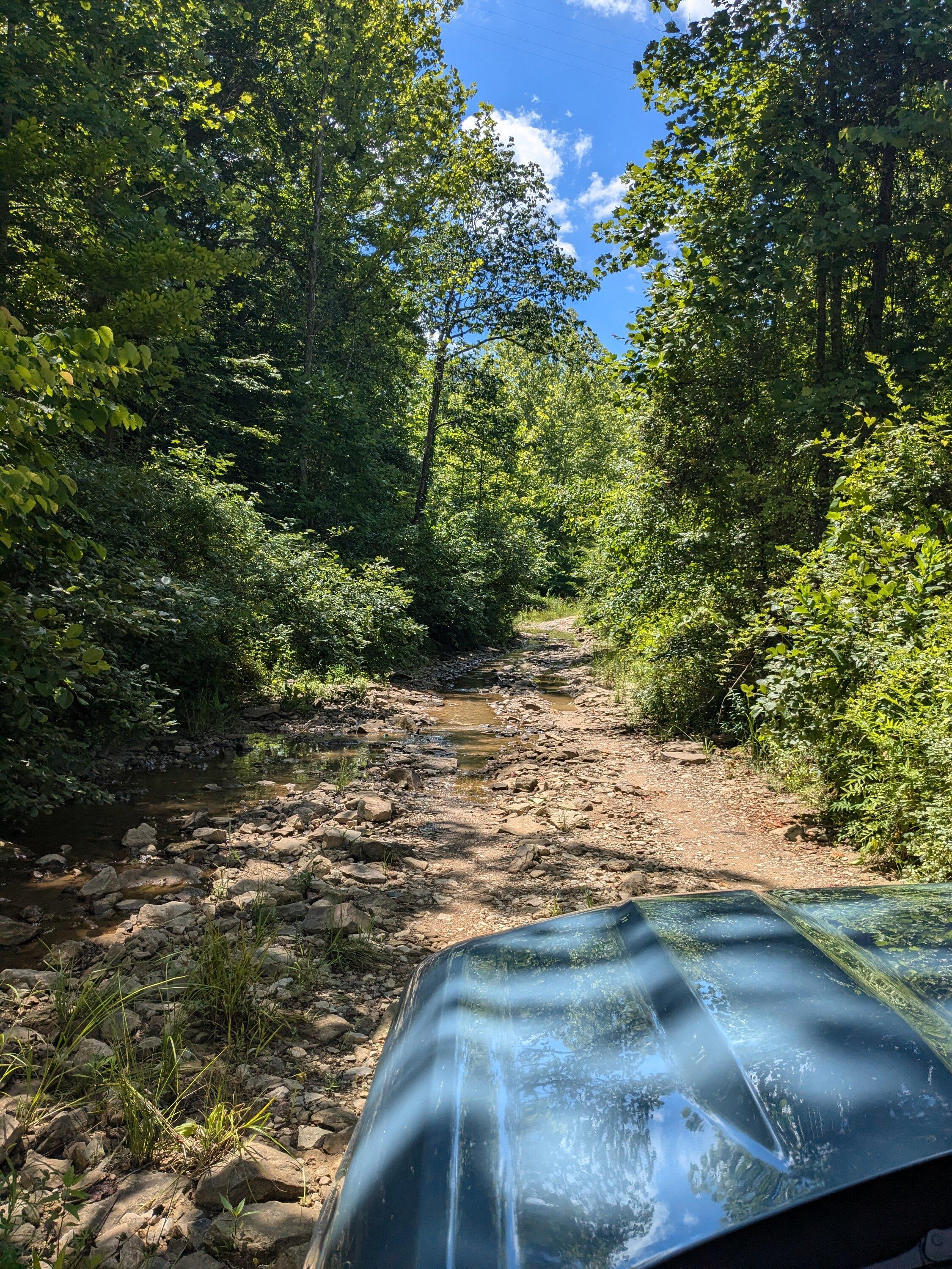 Ford Bronco Sport Trip Report: Daniel Boone National Forest PXL_20240624_190026032
