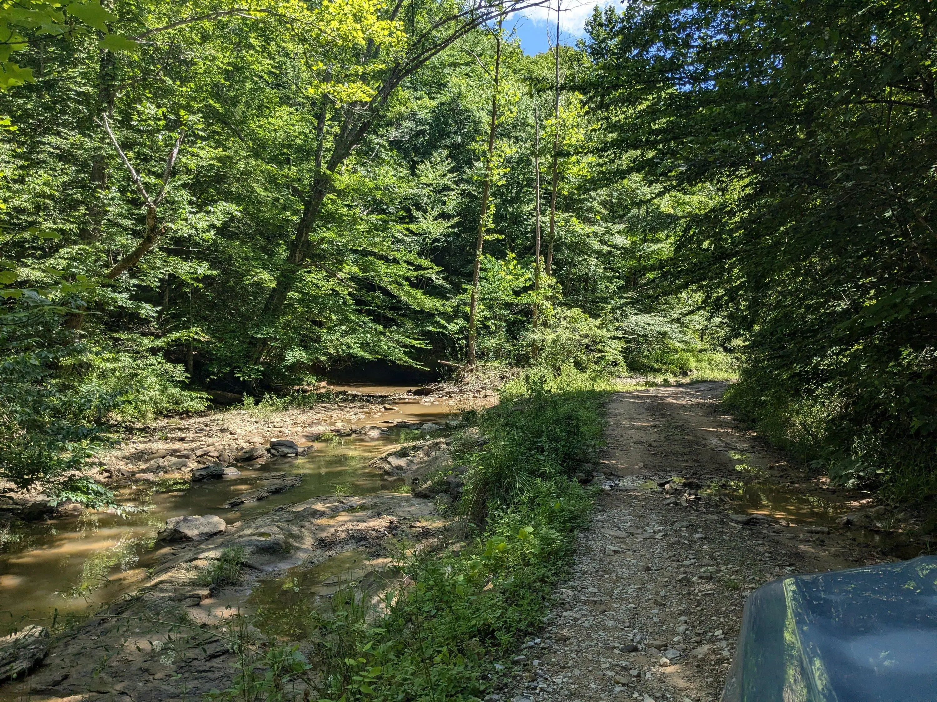 Ford Bronco Sport Trip Report: Daniel Boone National Forest PXL_20240624_190346434