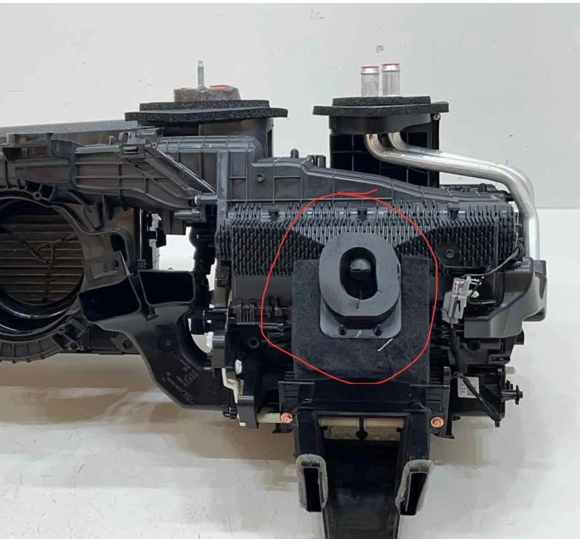 Ford Bronco Sport Ac condensate drain line where is it IMG_2651