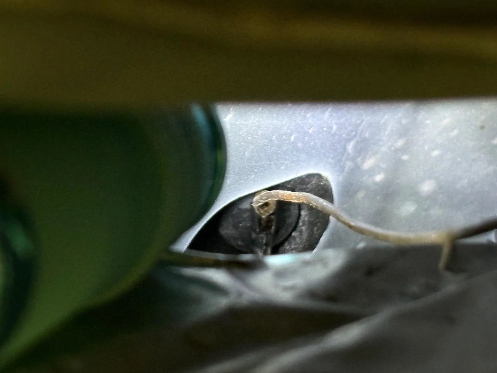 Ford Bronco Sport Ac condensate drain line where is it IMG_2649