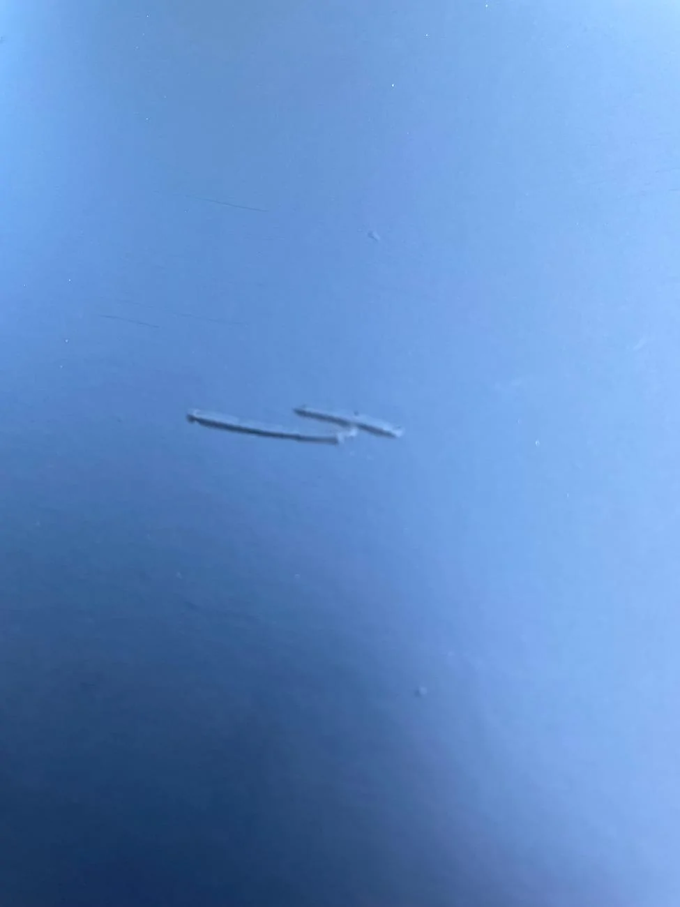 Ford Bronco Sport Underground Graphics Hood Decal IMG_4692