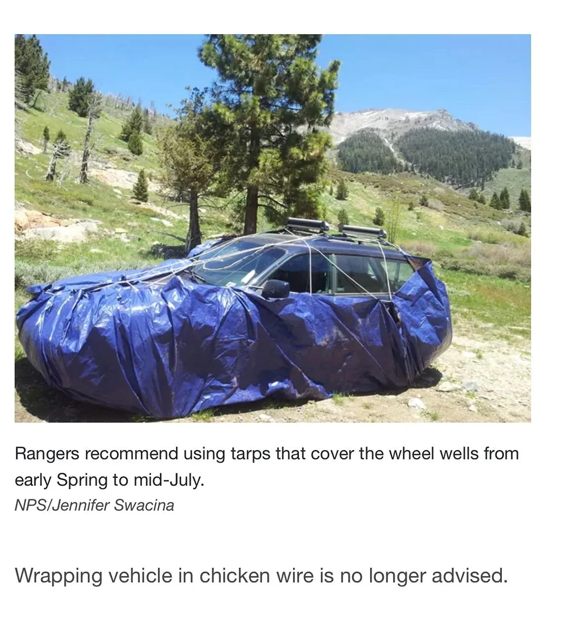 Ford Bronco Sport BS Left Me Stranded (Crank Sensor FAULTS) IMG_6226