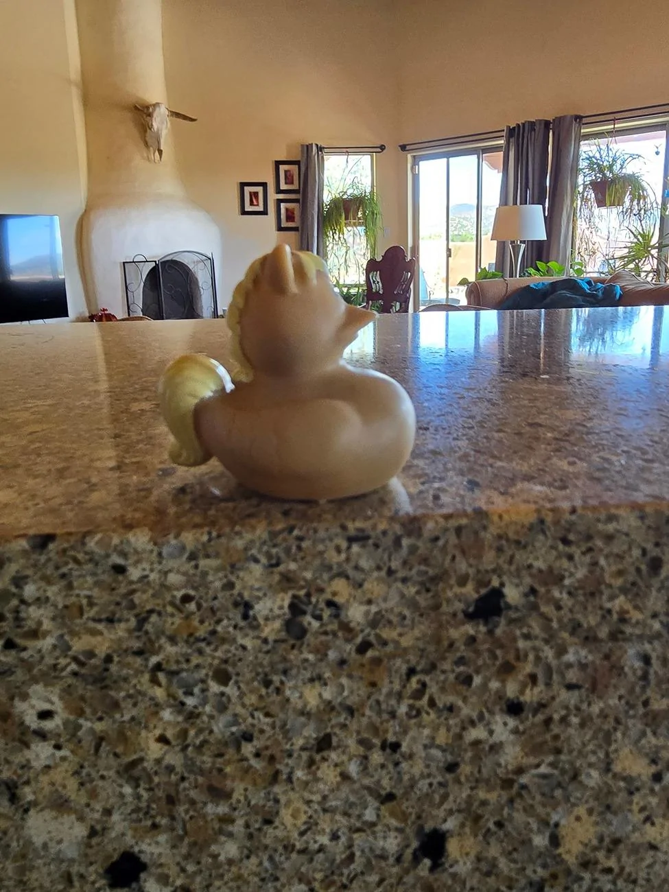 Ford Bronco Sport Duck 20240708_143553