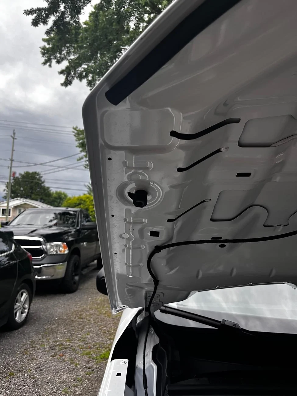 Ford Bronco Sport Hood Noise 2024 Missing Gasket/seal hood edges. IMG_8951
