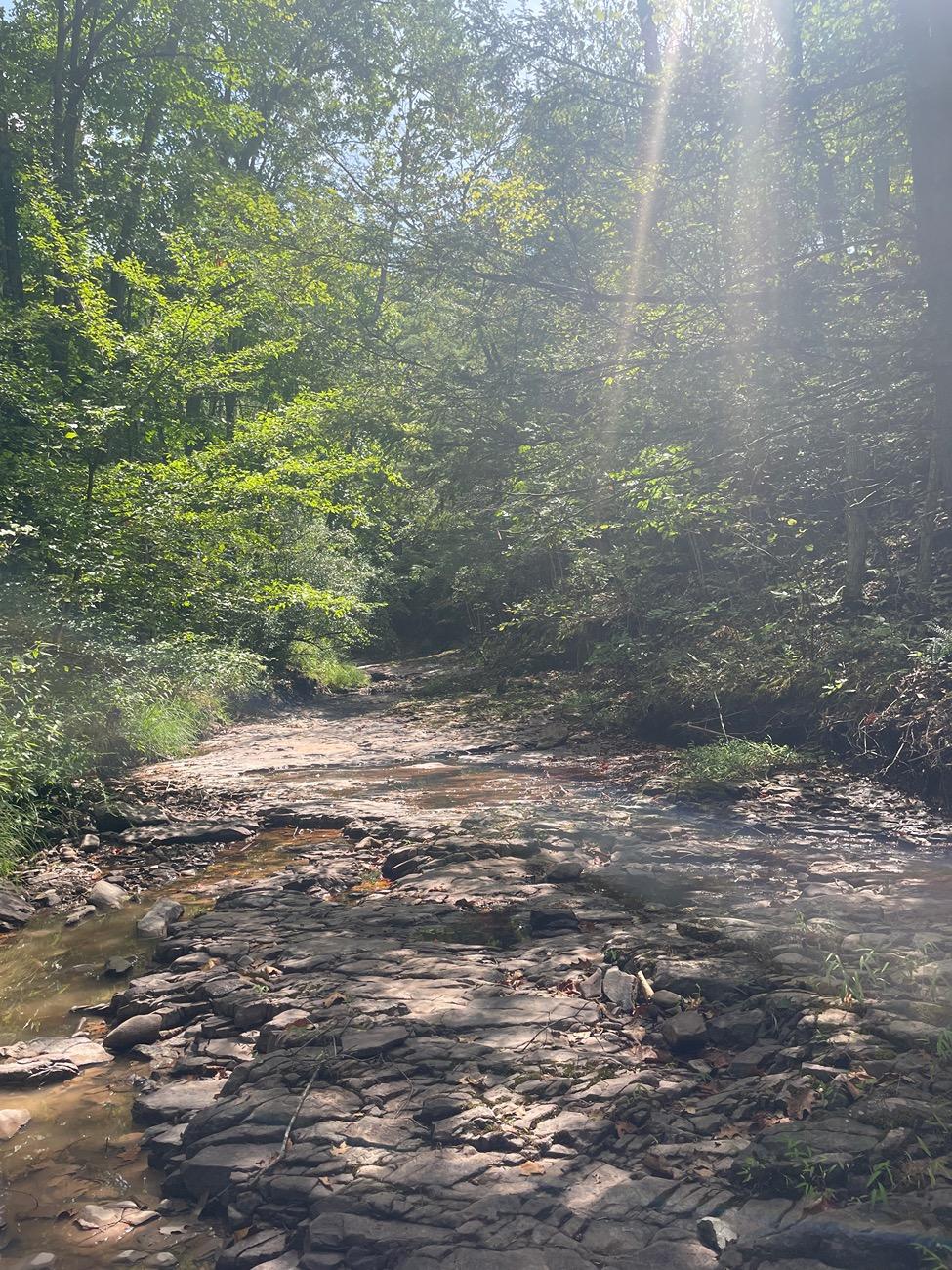 Ford Bronco Sport Green Ridge State Forest Cruising (DMV) IMG_3154