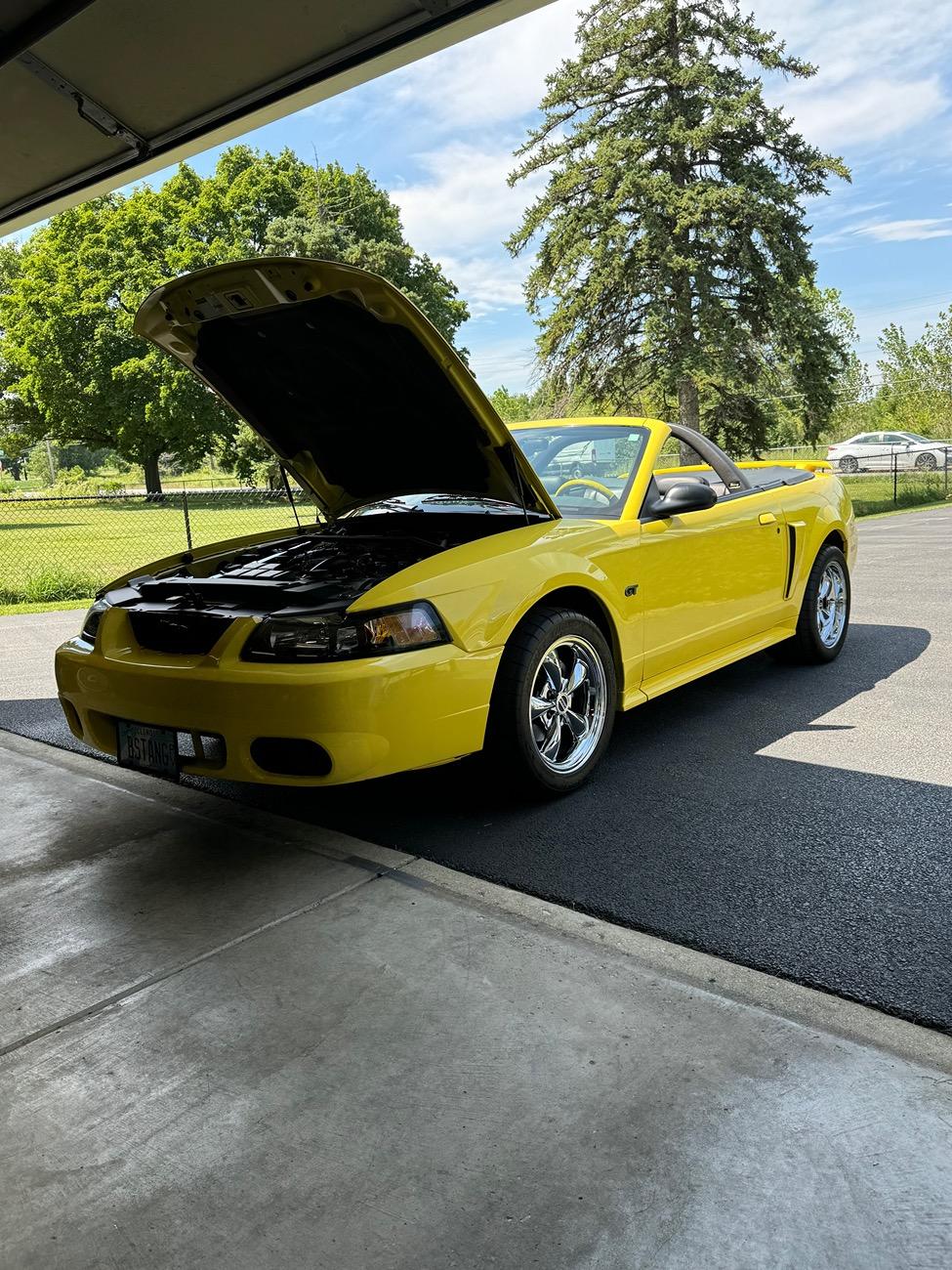 Ford Bronco Sport What did you do TO your Bronco Sport today? IMG_1857