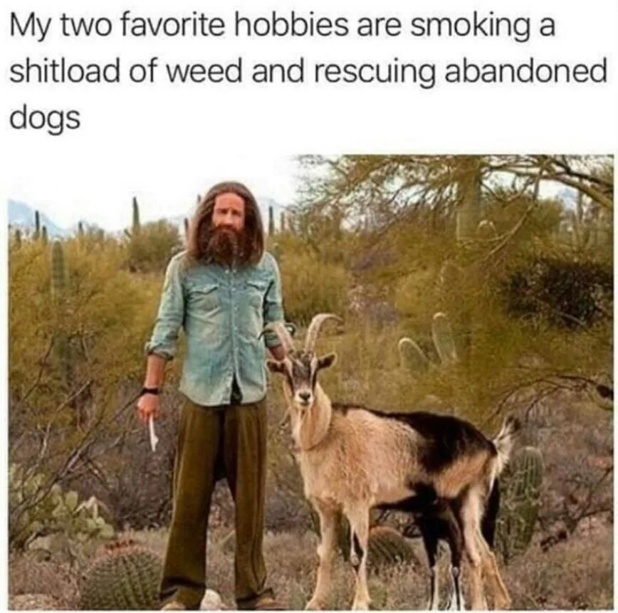 Ford Bronco Sport Animal vandalism 1723752369861-3v