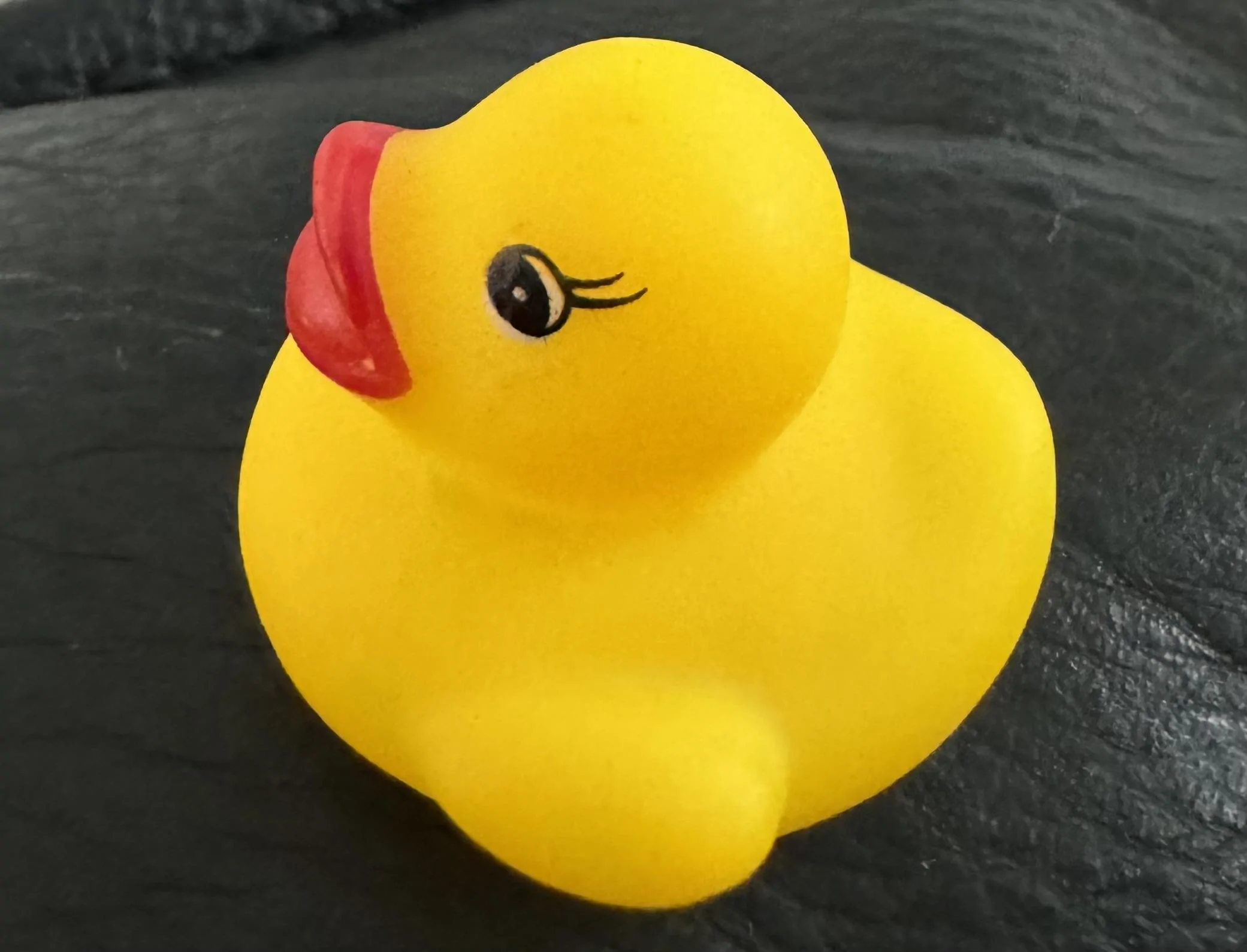 Ford Bronco Sport Duck! IMG_7367