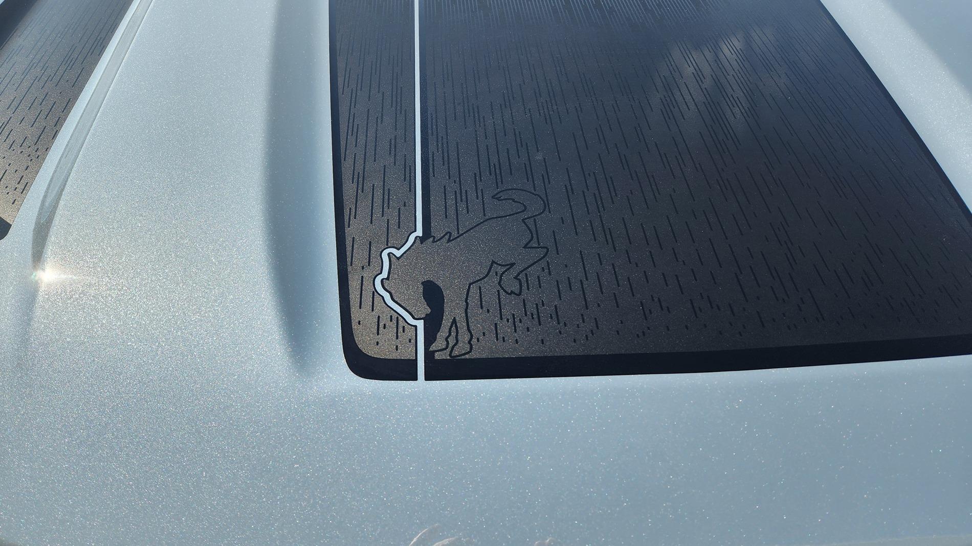 Ford Bronco Sport What did you do TO your Bronco Sport today? 20240830_145432