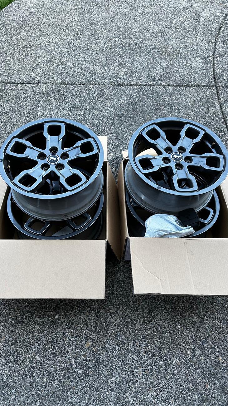 Ford Bronco Sport Selling my Big Bend 17 inch OEM wheels and lugnuts IMG_6741