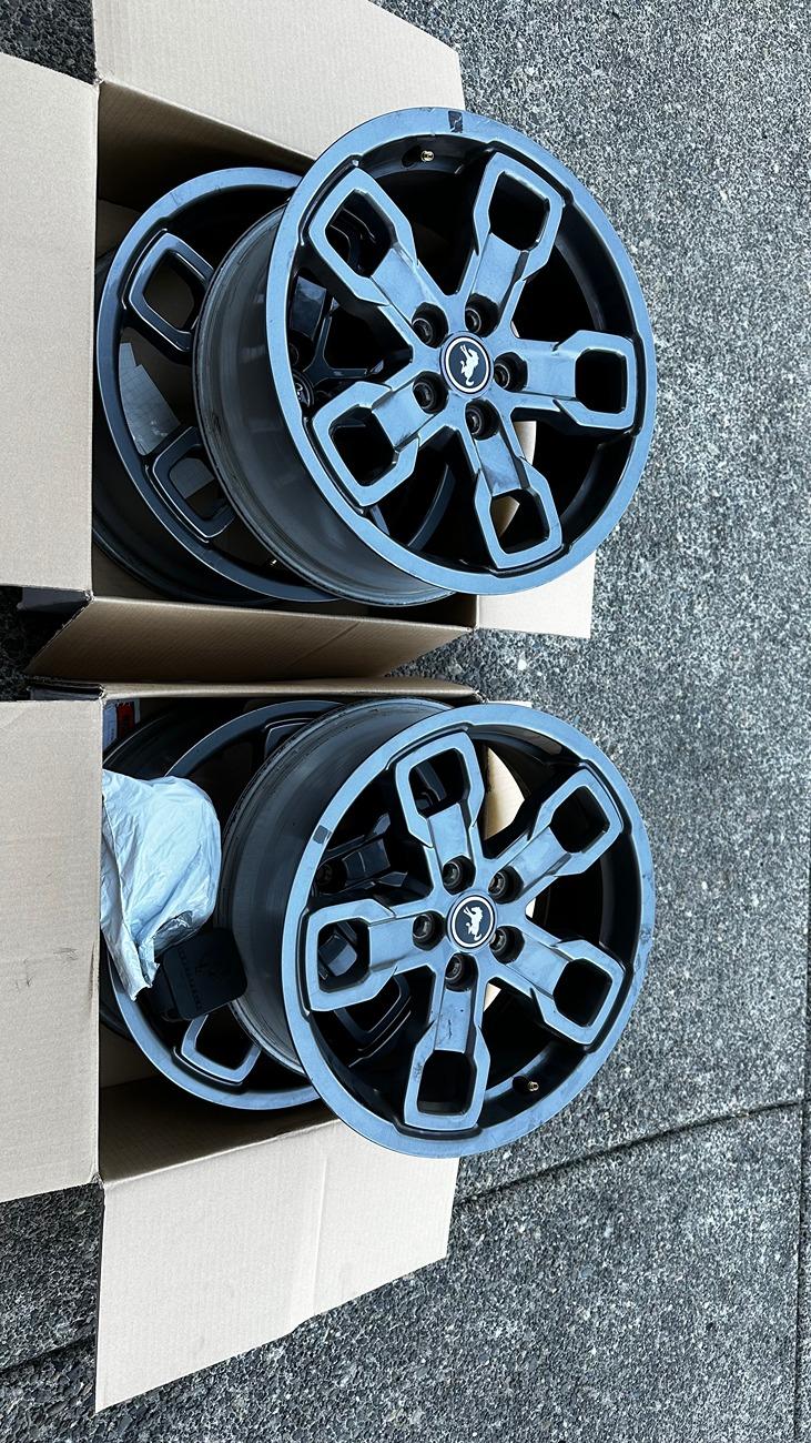 Ford Bronco Sport Selling my Big Bend 17 inch OEM wheels and lugnuts IMG_6740