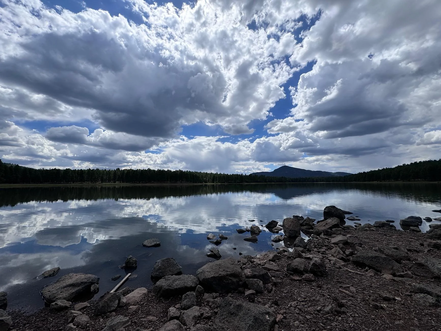 Ford Bronco Sport What did you do TO your Bronco Sport today? IMG_2772