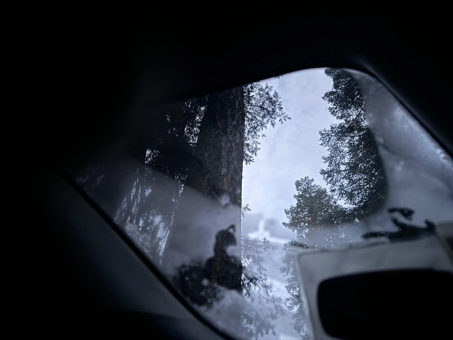 Ford Bronco Sport What did you do TO your Bronco Sport today? IMG_2613