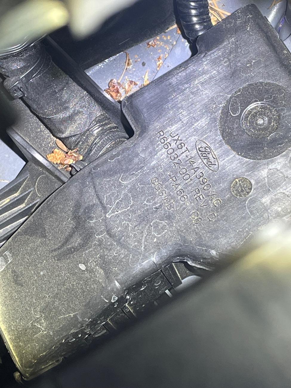 Ford Bronco Sport Clicking noise captured on video IMG_5129