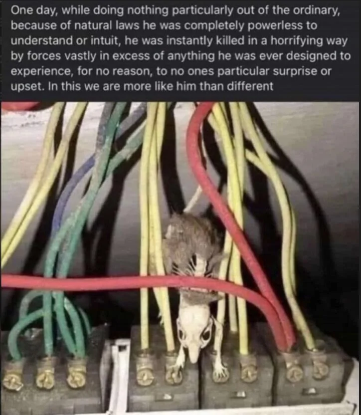 Ford Bronco Sport Deterring mice from the BS (nesting on cabin air filter) 1725838884041-kd