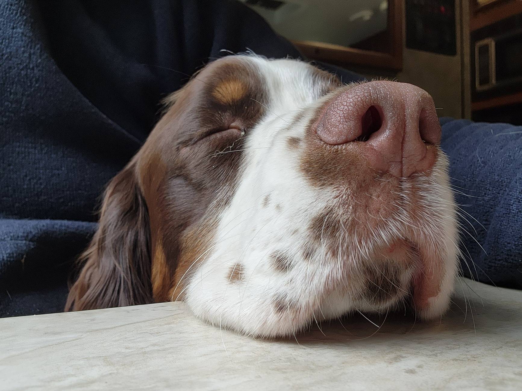 Ford Bronco Sport FordPass Complaint Georgia