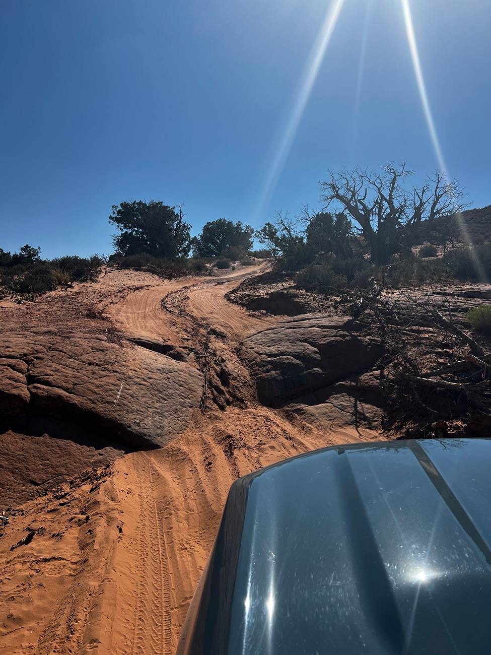 Ford Bronco Sport New Tires/Wheels IMG_8980