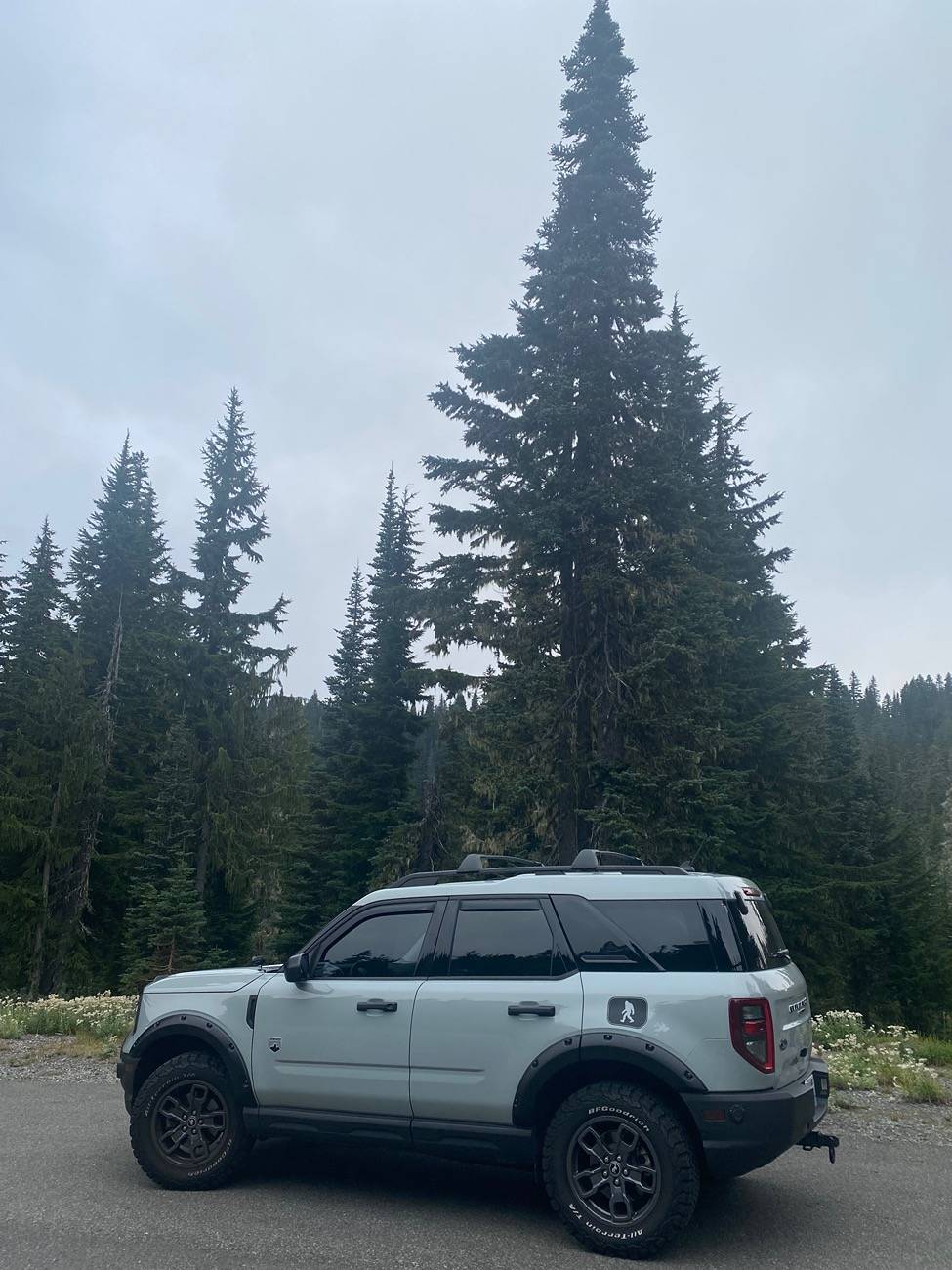 Ford Bronco Sport Eibach lift springs? IMG_7602