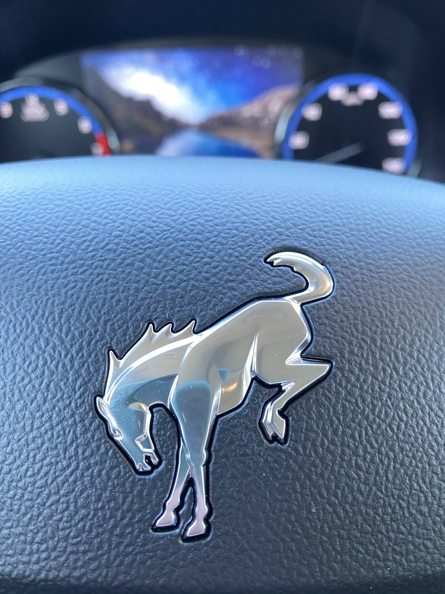 Ford Bronco Sport Bronco Sport First Edition in SoCal Desert 81B5B361-BBE1-4EAF-A70E-0A1EFF7139A6