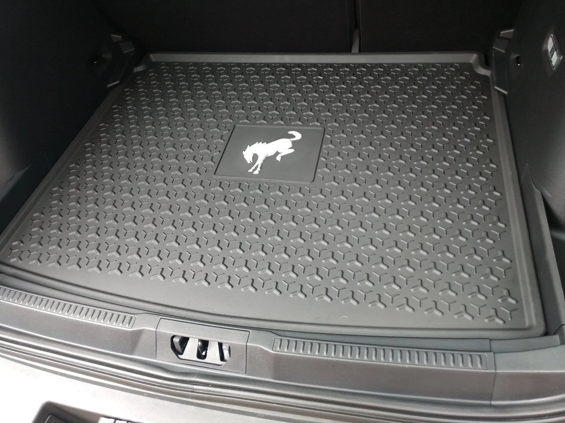 Ford Bronco Sport Carpet Protection Is a Must for me IMG_20210113_110515644