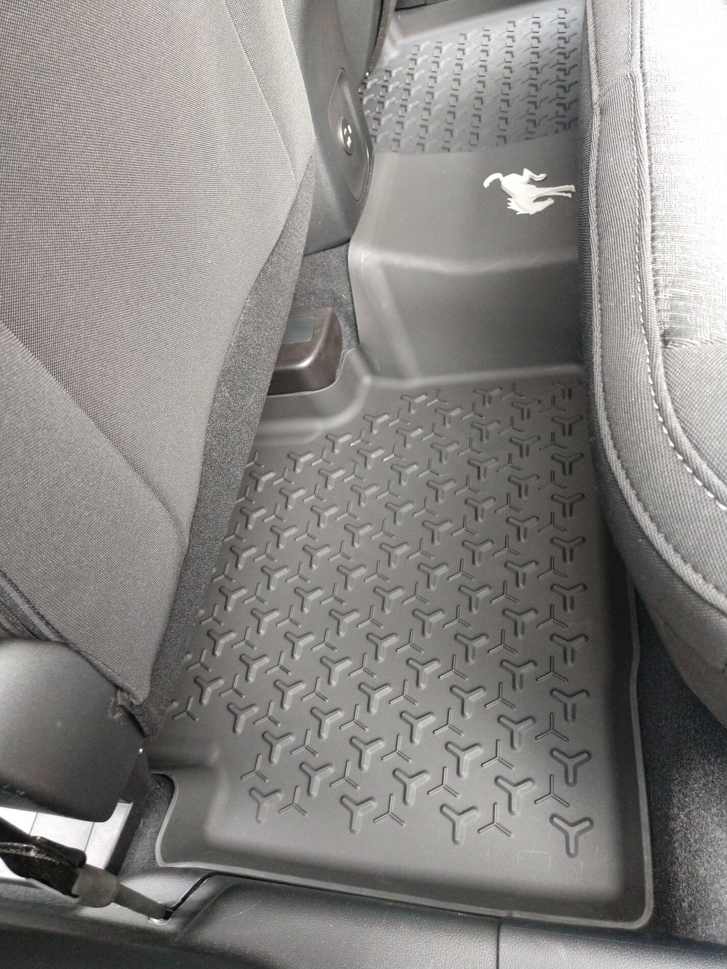 Ford Bronco Sport Carpet Protection Is a Must for me IMG_20210113_105738340