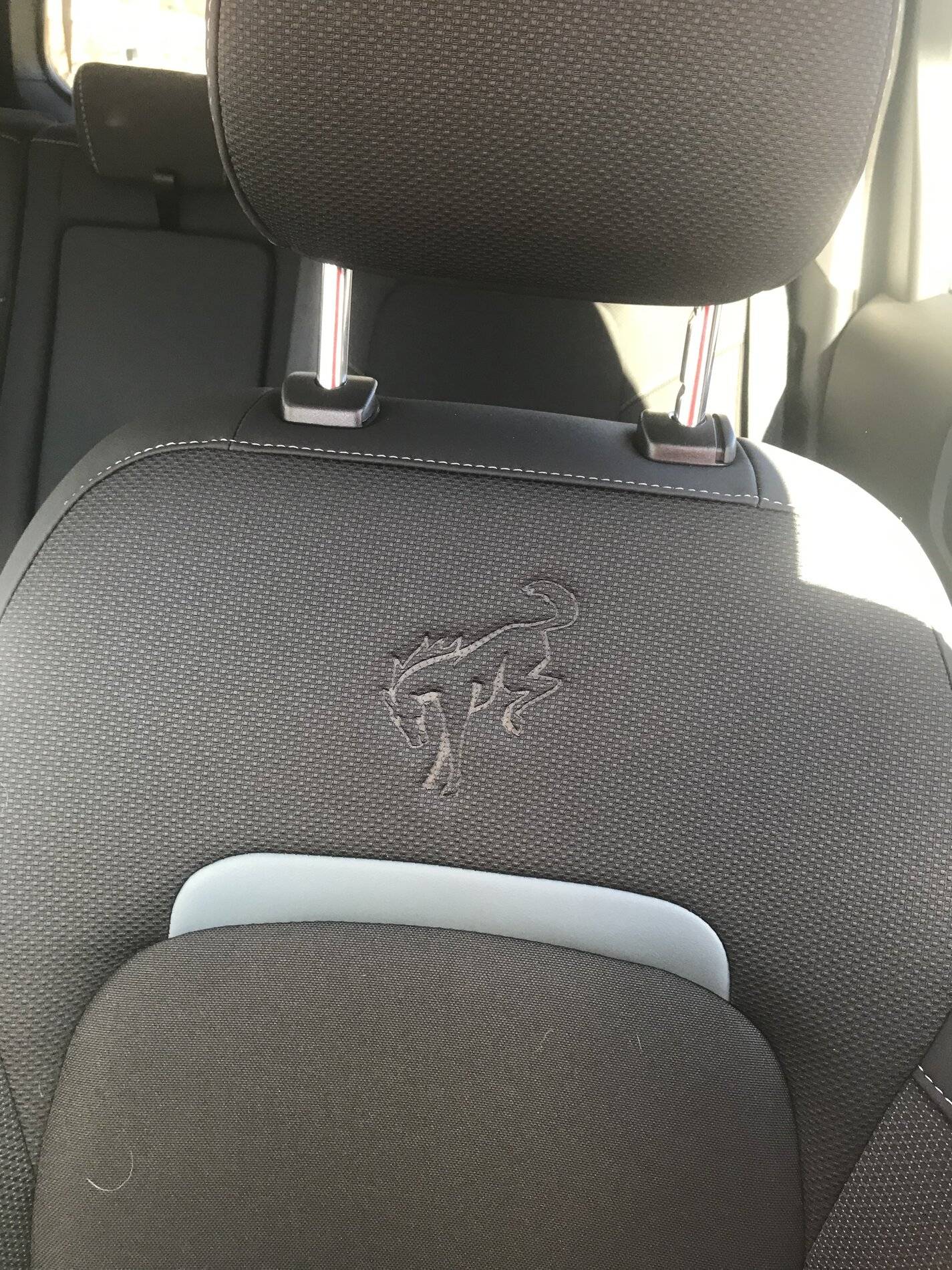 Ford Bronco Sport WHERE did you go with your Bronco Sport today? Bronco Sport seat