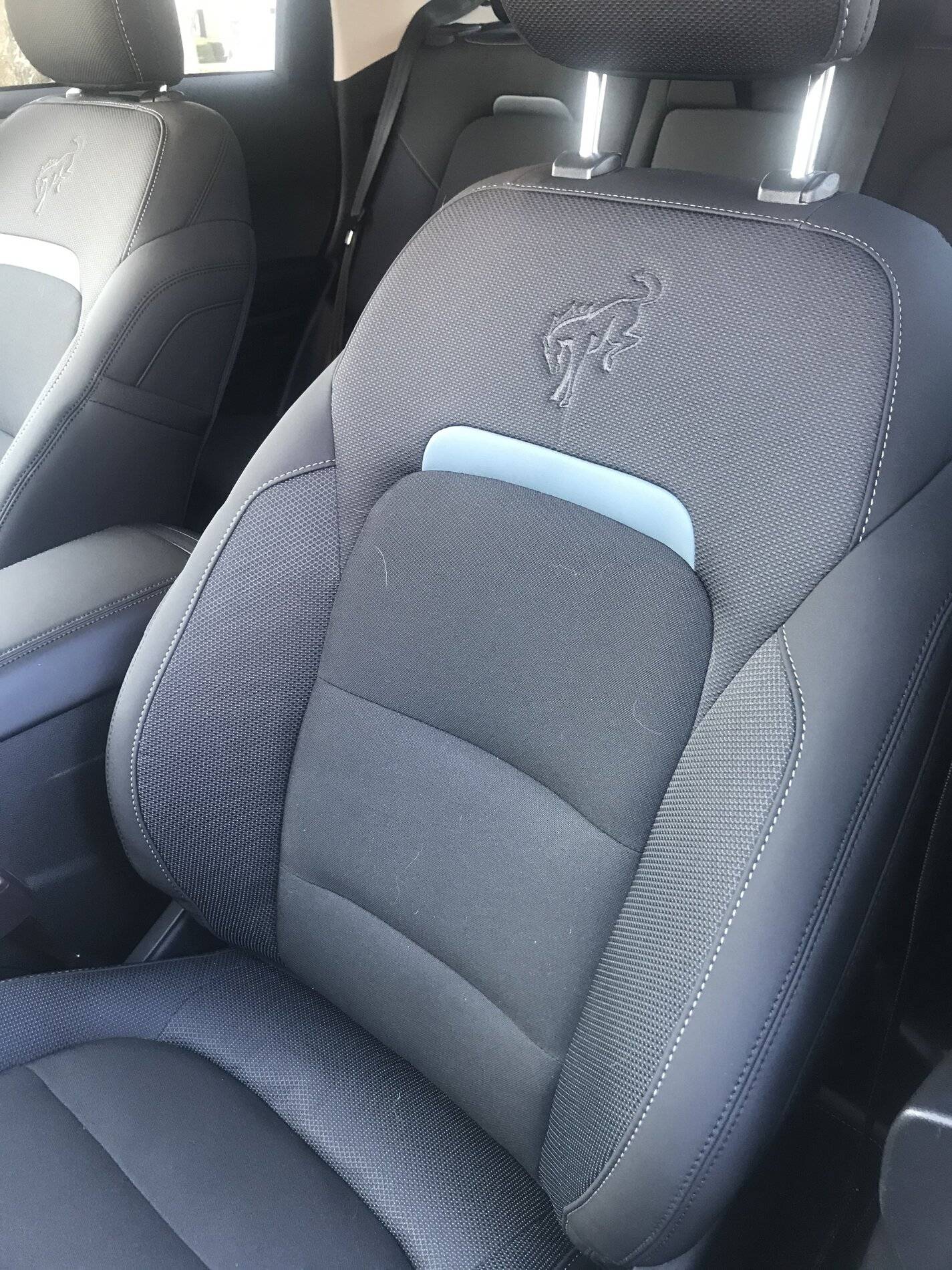 Ford Bronco Sport WHERE did you go with your Bronco Sport today? Bronco Sport Seat Full