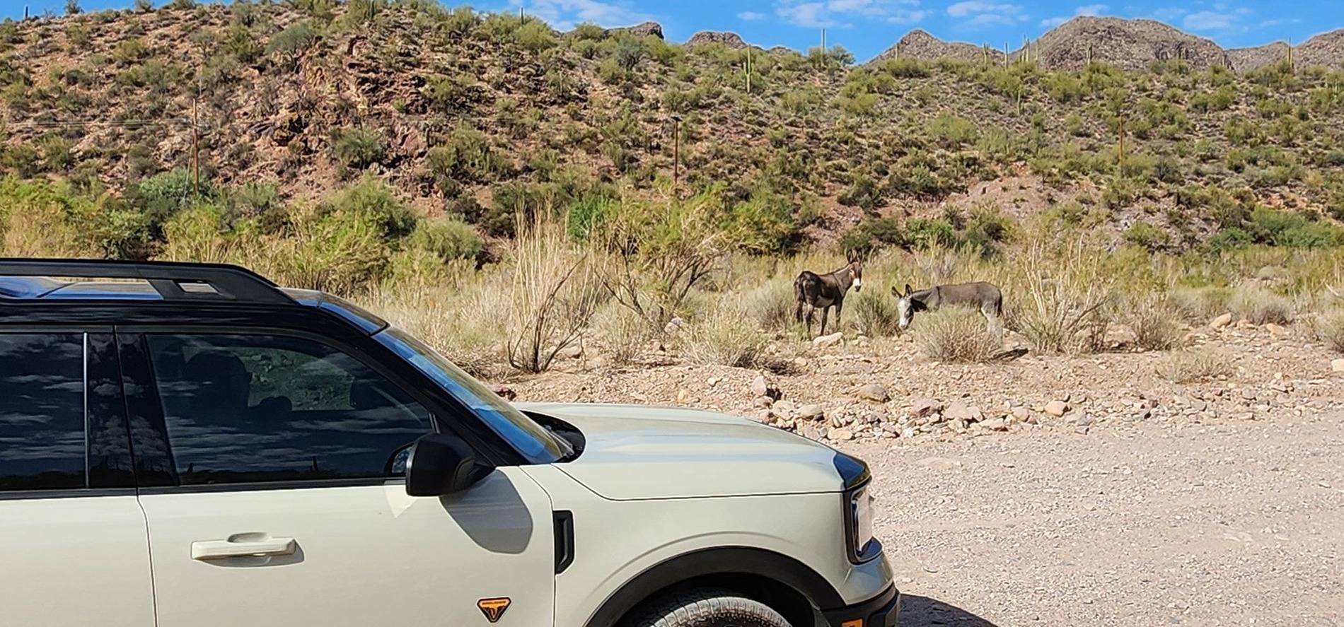 Ford Bronco Sport Castle Hot Springs, Arizona thumbnail (3)