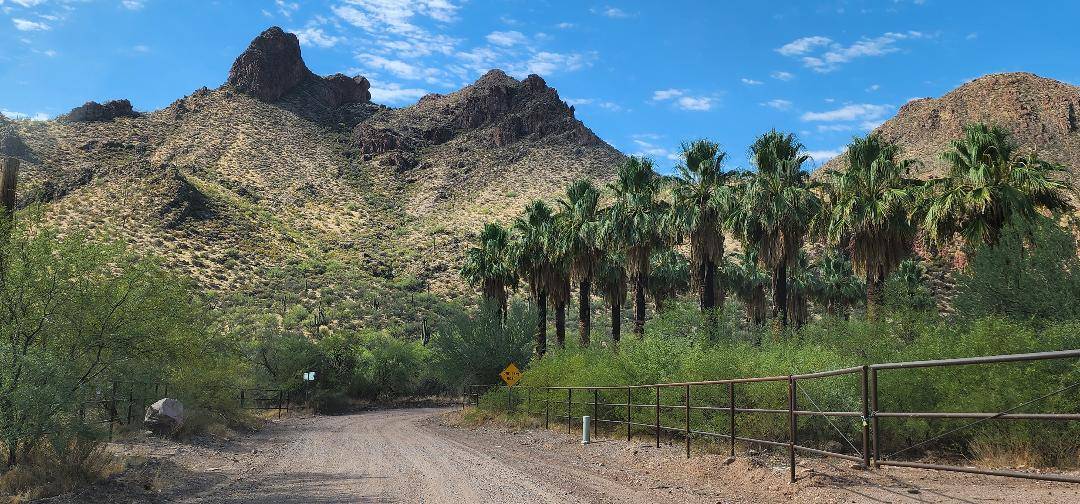 Ford Bronco Sport Castle Hot Springs, Arizona thumbnail (2)